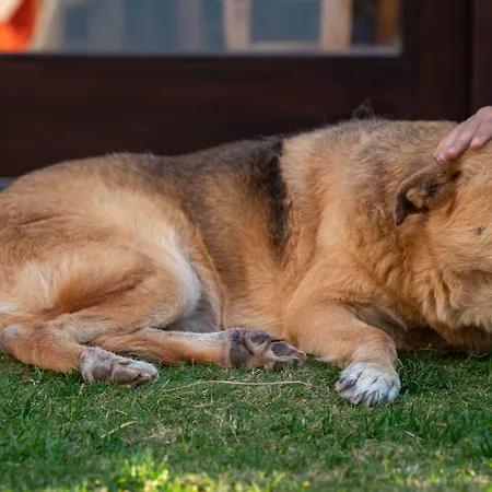 Ajlan Cunda 2* Ayvalik